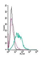 Prostacyclin Receptor (PTGIR) (extracellular) Antibody in Flow Cytometry (Flow)