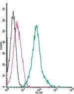 Thromboxane A2 Receptor (extracellular) Antibody in Flow Cytometry (Flow)