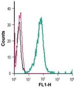 P2Y6 Receptor (extracellular) Antibody in Flow Cytometry (Flow)