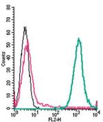 P2Y6 Receptor (extracellular) Antibody in Flow Cytometry (Flow)