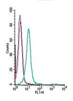 PepT2/SLC15A2 (extracellular) Antibody in Flow Cytometry (Flow)