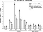 IL-6 Antibody in ELISA (ELISA)