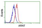 ARNT Antibody in Flow Cytometry (Flow)