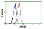 ARNT Antibody in Flow Cytometry (Flow)