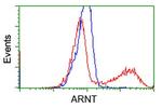 ARNT Antibody in Flow Cytometry (Flow)