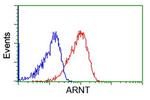 ARNT Antibody in Flow Cytometry (Flow)