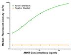 ARNT Antibody in Luminex (LUM)