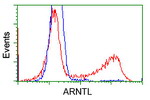 ARNTL Antibody in Flow Cytometry (Flow)