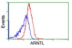 ARNTL Antibody in Flow Cytometry (Flow)