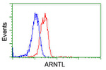 ARNTL Antibody in Flow Cytometry (Flow)