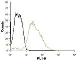 5HT3B Receptor (HTR3B) (extracellular) Antibody in Flow Cytometry (Flow)