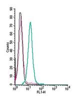 5HT4 Receptor (HTR4) (extracellular) Antibody in Flow Cytometry (Flow)