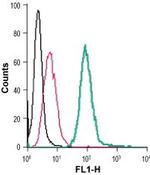 5HT4 Receptor (HTR4) (extracellular) Antibody in Flow Cytometry (Flow)