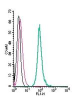 5HT7 Receptor/HTR7 (extracellular) Antibody in Flow Cytometry (Flow)