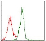 ASS1 Antibody in Flow Cytometry (Flow)