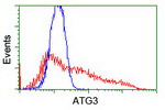 ATG3 Antibody in Flow Cytometry (Flow)