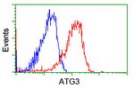 ATG3 Antibody in Flow Cytometry (Flow)