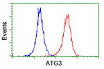 ATG3 Antibody in Flow Cytometry (Flow)