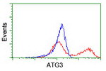 ATG3 Antibody in Flow Cytometry (Flow)