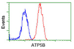 ATP5B Antibody in Flow Cytometry (Flow)