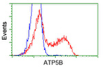 ATP5B Antibody in Flow Cytometry (Flow)