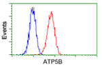 ATP5B Antibody in Flow Cytometry (Flow)