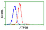 ATP5B Antibody in Flow Cytometry (Flow)