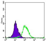 Aurora A Antibody in Flow Cytometry (Flow)