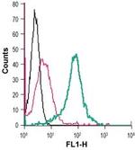 VPAC1 (VIPR1) (extracellular) Antibody in Flow Cytometry (Flow)