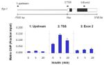 H3K9acK14ac Antibody in ChIP Assay (ChIP)