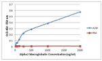 A2M Antibody in ELISA (ELISA)