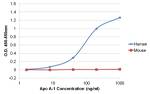 ApoA1 Antibody in ELISA (ELISA)