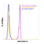 beta-2 Microglobulin Antibody