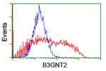 B3GNT2 Antibody in Flow Cytometry (Flow)