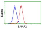 BAIAP2 Antibody in Flow Cytometry (Flow)