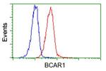 BCAR1 Antibody in Flow Cytometry (Flow)