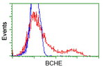 BCHE Antibody in Flow Cytometry (Flow)