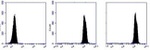 BCL10 Antibody in Flow Cytometry (Flow)