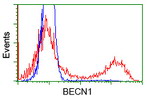 BECN1 Antibody in Flow Cytometry (Flow)