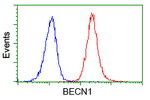 BECN1 Antibody in Flow Cytometry (Flow)