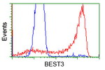 BEST3 Antibody in Flow Cytometry (Flow)