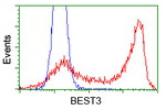 BEST3 Antibody in Flow Cytometry (Flow)