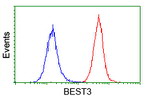 BEST3 Antibody in Flow Cytometry (Flow)