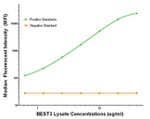 BEST3 Antibody in Luminex (LUM)