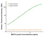BEST3 Antibody in Luminex (LUM)