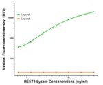 BEST3 Antibody in Luminex (LUM)