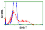 BHMT Antibody in Flow Cytometry (Flow)