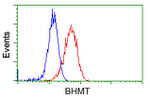 BHMT Antibody in Flow Cytometry (Flow)