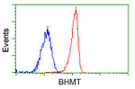 BHMT Antibody in Flow Cytometry (Flow)