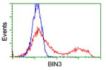 BIN3 Antibody in Flow Cytometry (Flow)